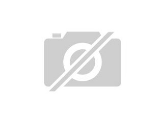 Malteserwelpen Minimalteser Welpen selten exclusiv und traumhaft schön mit P